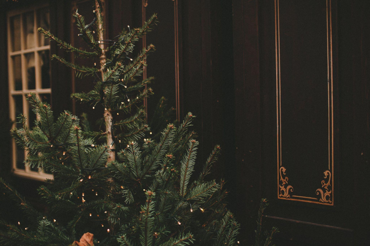 Finding Joy and Healing with a Skinny Christmas Tree and Green Ornaments